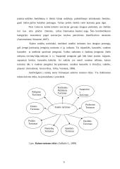 Kaimo turizmo sodybų paslaugų pasiūla Rokiškio regione 9 puslapis