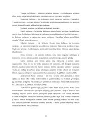 Kaimo turizmo sodybų paslaugų pasiūla Rokiškio regione 10 puslapis