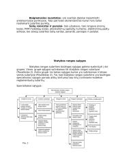 Statybų rangos sutartis 7 puslapis