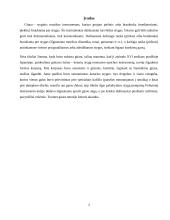 Klasikinės gitaros ypatumai 3 puslapis