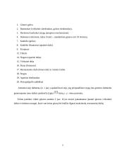 Klasikinės gitaros ypatumai 5 puslapis