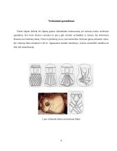 Klasikinės gitaros ypatumai 8 puslapis