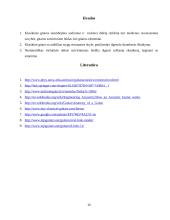 Klasikinės gitaros ypatumai 10 puslapis