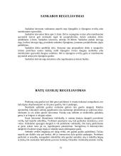 Gamybinės praktikos ataskaita autoservise 13 puslapis