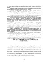 Gamybinės praktikos ataskaita autoservise 18 puslapis