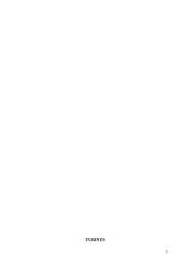 Pasakų su dainuojamaisiais intarpais panaudojimo galimybės ikimokyklinio ugdymo muzikinėje veikloje 2 puslapis