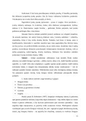 Pasakų su dainuojamaisiais intarpais panaudojimo galimybės ikimokyklinio ugdymo muzikinėje veikloje 13 puslapis