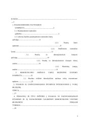 Pasakų su dainuojamaisiais intarpais panaudojimo galimybės ikimokyklinio ugdymo muzikinėje veikloje 3 puslapis