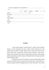 Pasakų su dainuojamaisiais intarpais panaudojimo galimybės ikimokyklinio ugdymo muzikinėje veikloje 4 puslapis