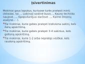 Kasdienis gyvenimas nepriklausomoje Lietuvoje (1918-1940) 17 puslapis