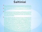 Kasdienis gyvenimas nepriklausomoje Lietuvoje (1918-1940) 18 puslapis