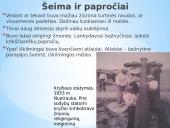 Kasdienis gyvenimas nepriklausomoje Lietuvoje (1918-1940) 5 puslapis
