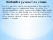 Kasdienis gyvenimas nepriklausomoje Lietuvoje (1918-1940) 6 puslapis