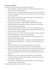 Būtinosios pagalbos ir intensyviosios slaugos profesinės veiklos praktika 12 puslapis