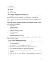 Socialinės paslaugos konspektas 2 puslapis