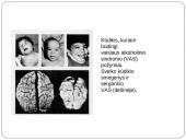 Alkoholio, tabako, narkotinių medžiagų, medikamentų bei streso poveikis žmogaus gemalui  6 puslapis
