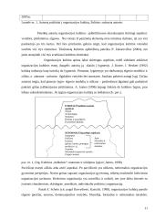 Organizacijos kultūra ir vertybės 11 puslapis