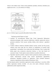 Organizacijos kultūra ir vertybės 12 puslapis