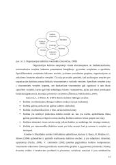 Organizacijos kultūra ir vertybės 13 puslapis