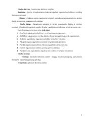 Organizacijos kultūra ir vertybės 5 puslapis