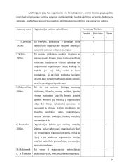 Organizacijos kultūra ir vertybės 10 puslapis