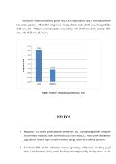 Lietuvos gyventojų emigracijos statistinis tyrimas 13 puslapis