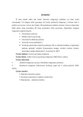 Lietuvos gyventojų emigracijos statistinis tyrimas 4 puslapis