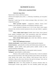Nėščios moters organizmo kitimai