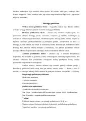 Nėščios moters organizmo kitimai 7 puslapis