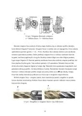 Sriegių sriegimo technologija 14 puslapis