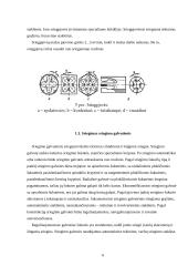 Sriegių sriegimo technologija 7 puslapis