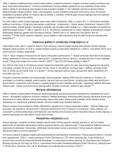 Istorijos temų konspektai 13 puslapis