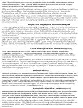 Istorijos temų konspektai 14 puslapis