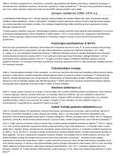 Istorijos temų konspektai 15 puslapis