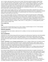 Istorijos temų konspektai 3 puslapis