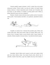 Raumenų tempimo nauda 14 puslapis