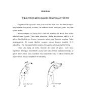 Raumenų tempimo nauda 7 puslapis