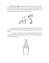 Raumenų tempimo nauda 10 puslapis