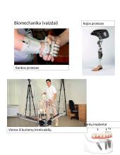 Biomechanikos reikšmė žmonėms 2 puslapis