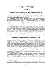 Chemijos technologija. Biotechnologija 4 puslapis