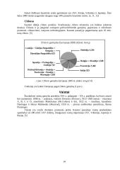 Chemijos technologija. Biotechnologija 10 puslapis