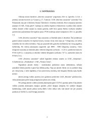 Uždaroji akcinė bendrovė „Renvitos sausainiai“ verslo planas 2 puslapis
