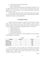 Uždaroji akcinė bendrovė „Renvitos sausainiai“ verslo planas 4 puslapis