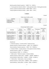 Valdymo apskaitos namų darbas 5 puslapis