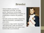 Napoleonas Bonapartas skaidrės 7 puslapis