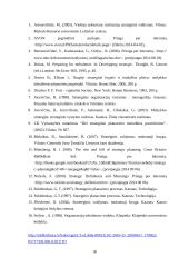 AVON įmonės strateginio plano metmenys 18 puslapis