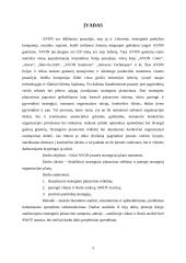 AVON įmonės strateginio plano metmenys 3 puslapis