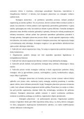 AVON įmonės strateginio plano metmenys 7 puslapis