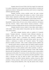 AVON įmonės strateginio plano metmenys 8 puslapis