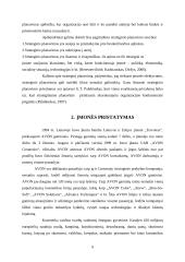 AVON įmonės strateginio plano metmenys 9 puslapis